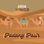 Padang Pasir