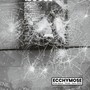 Ecchymose (Explicit)