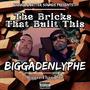 The Bricks That Built This... (Explicit)