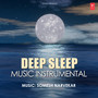 Deep Sleep Music Instrumental