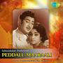 Peddalu Maaraali (Original Motion Picture Soundtrack)