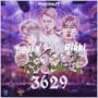 3629 (feat. Three B) [Pinenut Remix] [Explicit]