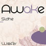 awake