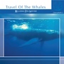 Chlorophylle II Travel of the Whales (Relaxing Zen Nature)