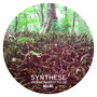 Discographie Organic Ambient Pulse Drone Symphonie