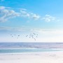 The Calm