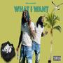 WHAT I WANT (Explicit)