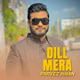 Dill Mera