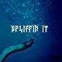 SPLIFFIN' IT (Explicit)