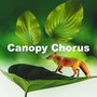 Canopy Chorus