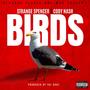 BIRDS (Explicit)