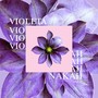 Violeta