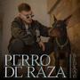 PERRO DE RAZA (Explicit)