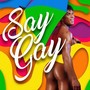 Say Gay