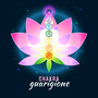 Chakra guarigione (Hz Frequenze solfeggio, Pulire l'energia, 7 meditazione dei chakra, Meditazione e