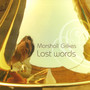 Lost Words