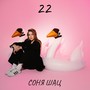 22 (Explicit)