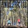 Pinos Erectos (feat. J Vida, Dystorizon & Fana)