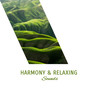 Harmony & Relaxing Sounds: Yoga Training, Pure Deep Relaxation, Inner Balance, Focus & Harmony, Best Background Music for Exercices Yoga