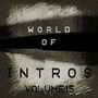 World of Intros, Vol.15 (Special DJ Tools) [Explicit]