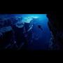 Into the Deep (feat. T. Ferd)