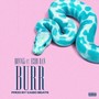 Burr (feat. Echo Dan)