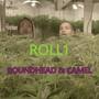 Roll1