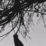 EXPNSIVE HABITS (Explicit)