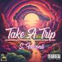 Take a Trip (Explicit)