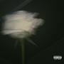 STORY! (Explicit)