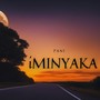 Iminyaka