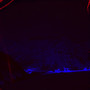 Black Light