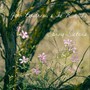 Spring Sisters