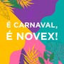 Carnaval Novex