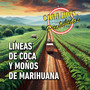 Líneas de coca y moños de marihuana (Corridos Prohibidos)