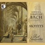 BACH, J.S.: Motets, BWV 225-230 (The Bach Sinfonia, Abraham)