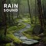 Forest Rain