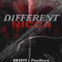 Different Nicca (feat. TinyDown) [Explicit]