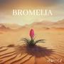 Bromelia