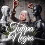 Tulipa Negra