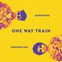 One Way Train