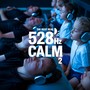 The Best Real 528 Hz Calm Part 2