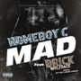 Mad (feat. Brick Wolfpack) [Explicit]