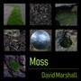 Moss