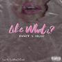 Like What? (Explicit)