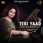 Teri Yaad (Instrumental)