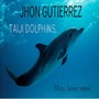 Taiji Dolphins (Manu Senent Remix)