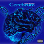 Cerebrum (Explicit)