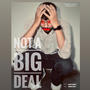 NOT A BIG DEAL (feat. Turban boyz) [Explicit]