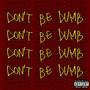 Don't Be Dumb (Explicit)